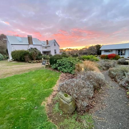 Robin Hoods Well Farm Stay Sassafras Eksteriør bilde