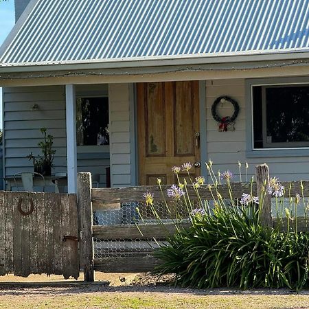 Robin Hoods Well Farm Stay Sassafras Eksteriør bilde