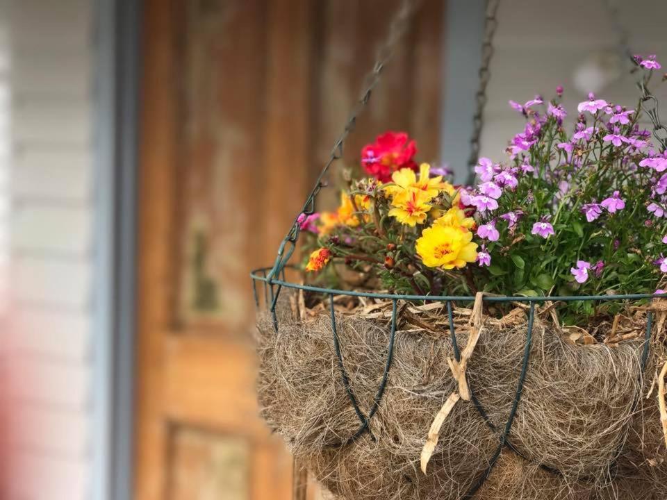 Robin Hoods Well Farm Stay Sassafras Eksteriør bilde