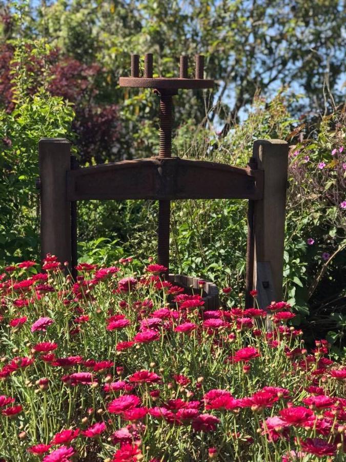 Robin Hoods Well Farm Stay Sassafras Eksteriør bilde
