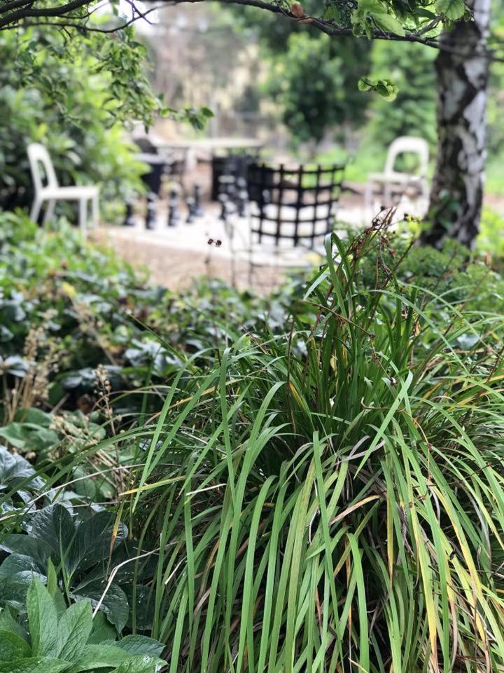 Robin Hoods Well Farm Stay Sassafras Eksteriør bilde