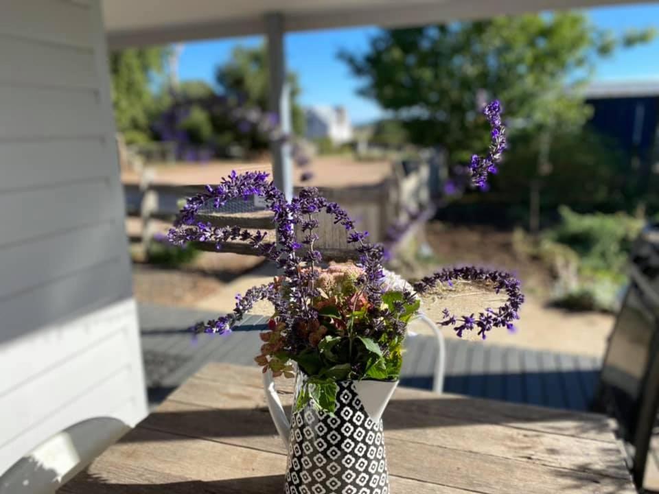 Robin Hoods Well Farm Stay Sassafras Eksteriør bilde