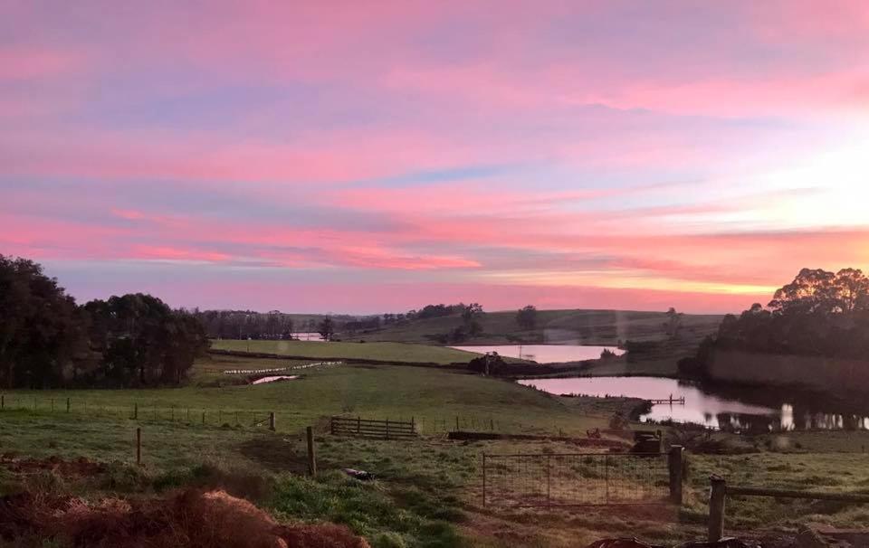 Robin Hoods Well Farm Stay Sassafras Eksteriør bilde