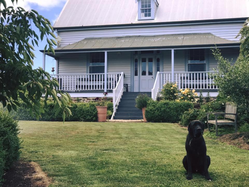 Robin Hoods Well Farm Stay Sassafras Eksteriør bilde