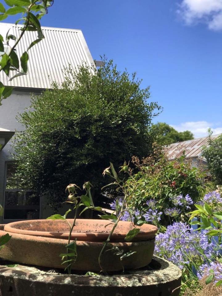 Robin Hoods Well Farm Stay Sassafras Eksteriør bilde