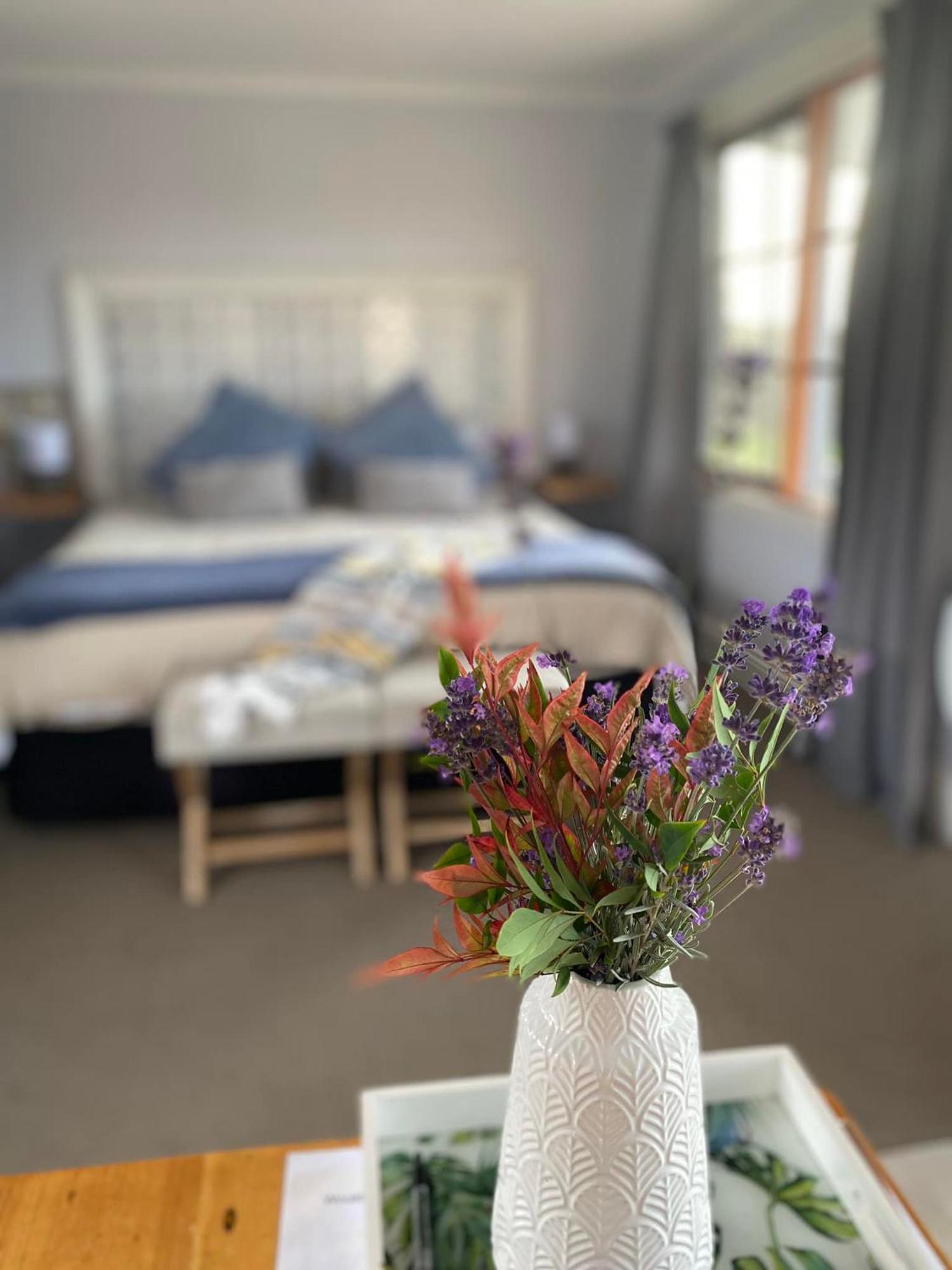 Robin Hoods Well Farm Stay Sassafras Eksteriør bilde