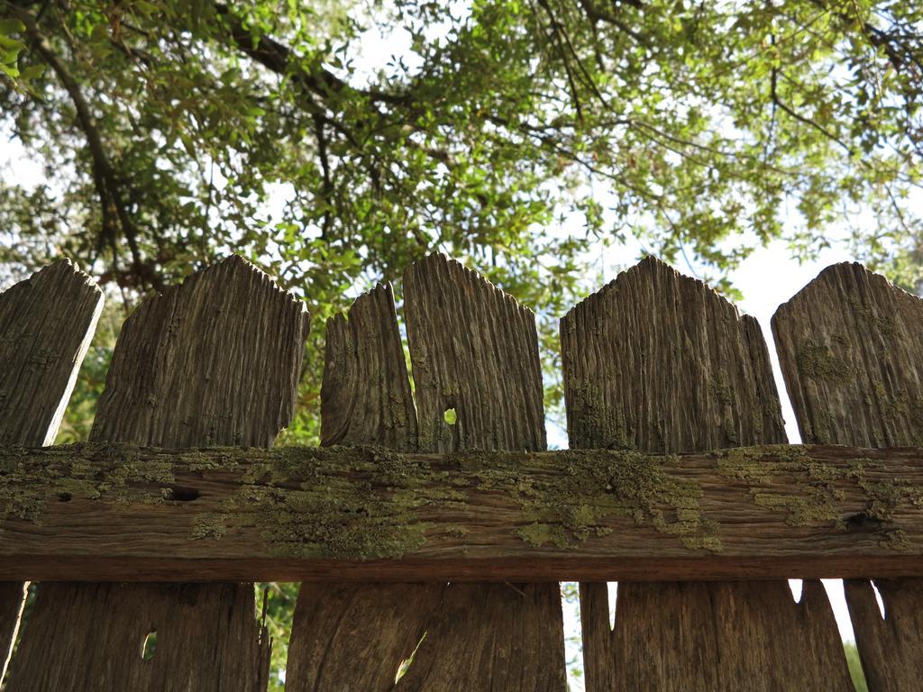Robin Hoods Well Farm Stay Sassafras Eksteriør bilde