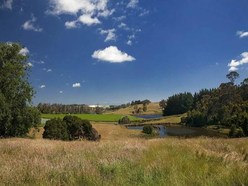 Robin Hoods Well Farm Stay Sassafras Eksteriør bilde