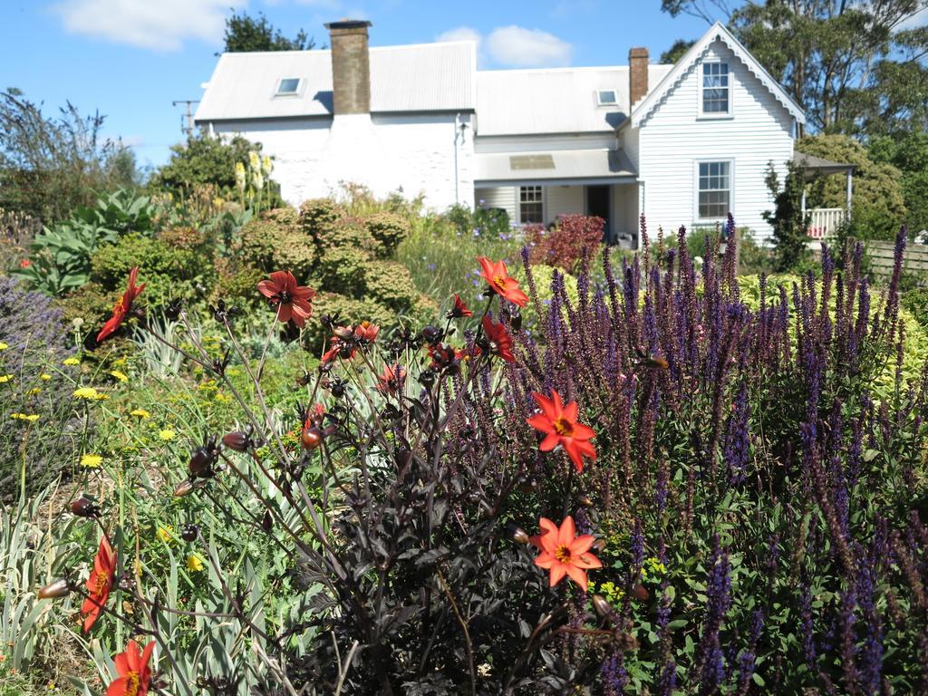 Robin Hoods Well Farm Stay Sassafras Eksteriør bilde